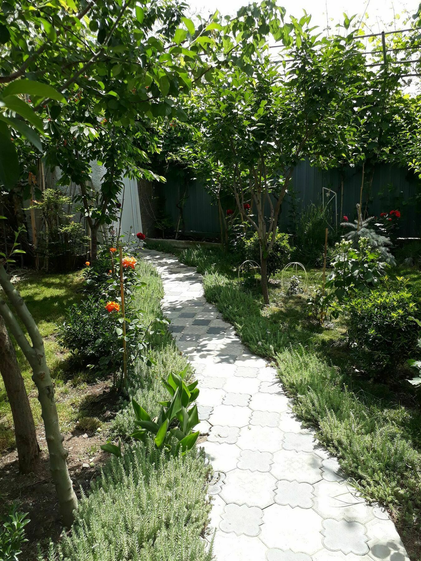 My Garden Hotel Tbilisi Buitenkant foto