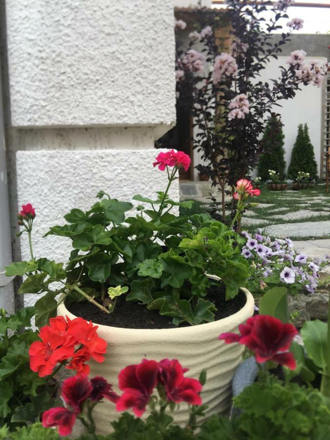 My Garden Hotel Tbilisi Buitenkant foto