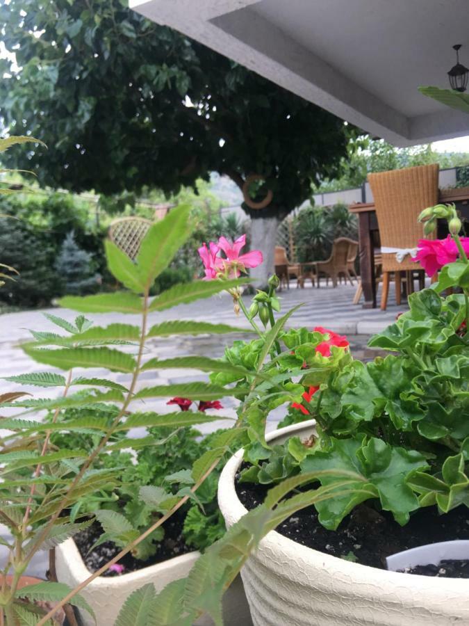 My Garden Hotel Tbilisi Buitenkant foto