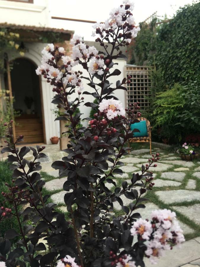 My Garden Hotel Tbilisi Buitenkant foto